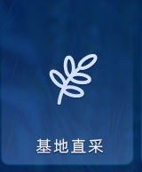 �����Բ�