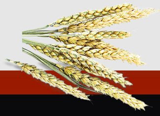 3868la������վ(����)�ɷ����޹�˾ - Make It Possible