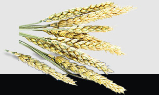 3868la������վ(����)�ɷ����޹�˾ - Make It Possible