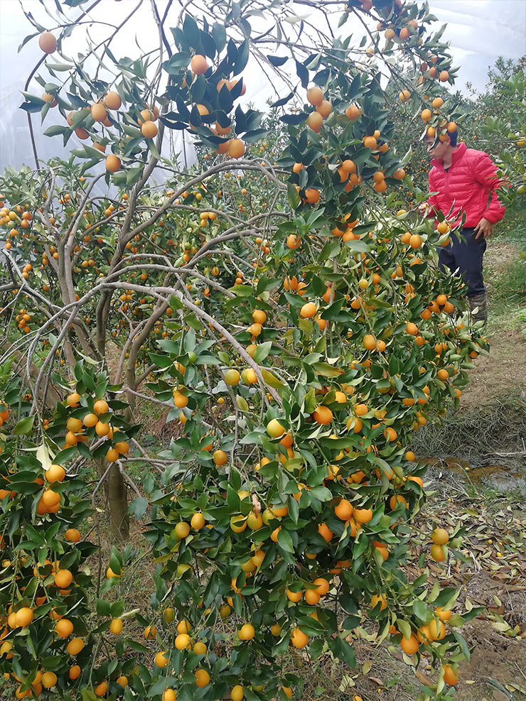 3868la������վ(����)�ɷ����޹�˾ - Make It Possible