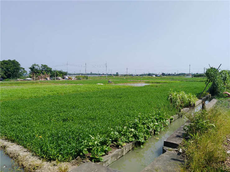 3868la������վ(����)�ɷ����޹�˾ - Make It Possible
