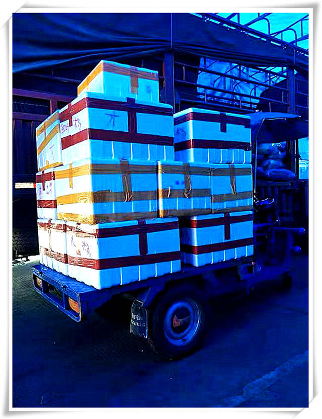 3868la������վ(����)�ɷ����޹�˾ - Make It Possible