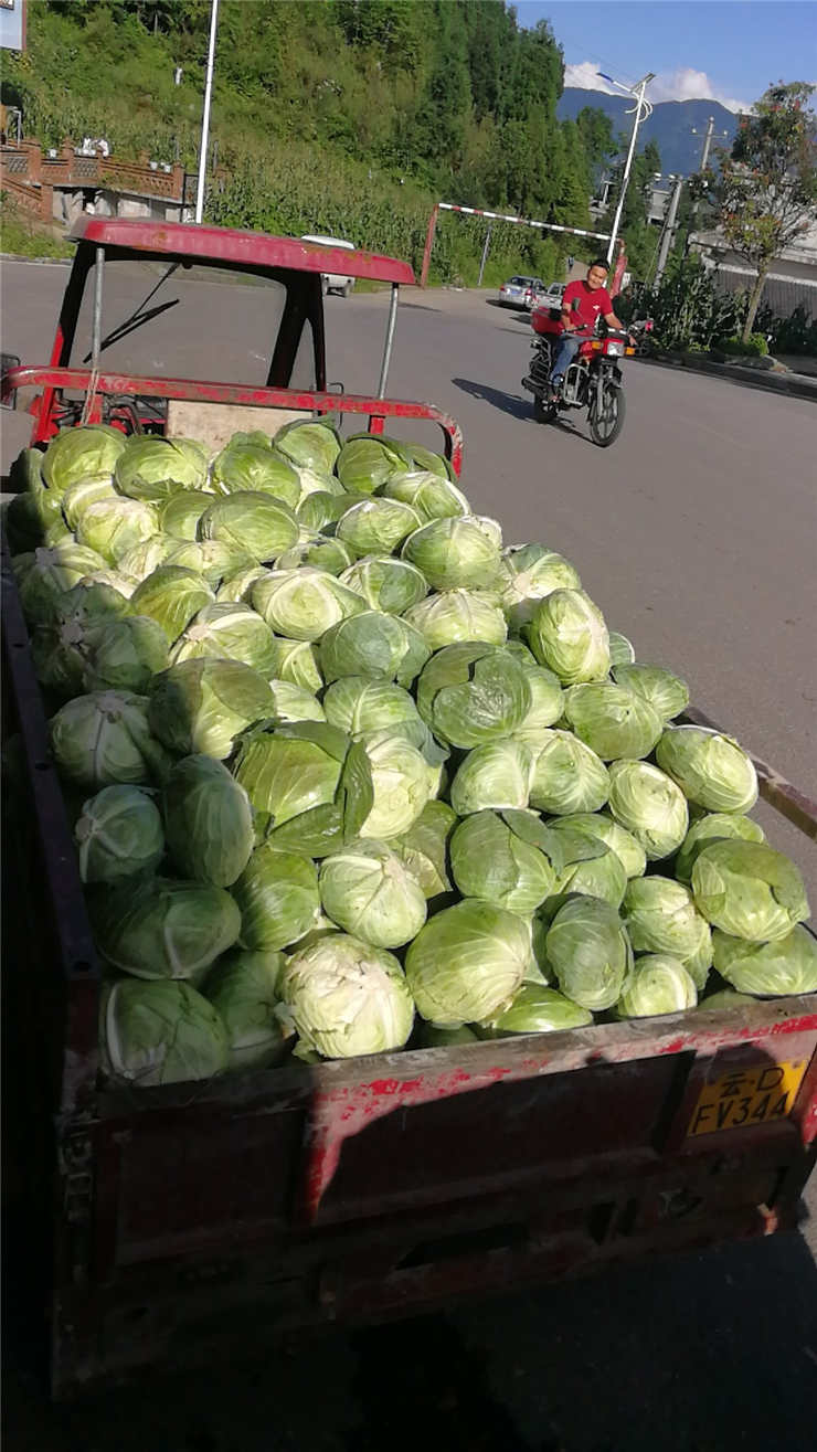 3868la������վ(����)�ɷ����޹�˾ - Make It Possible