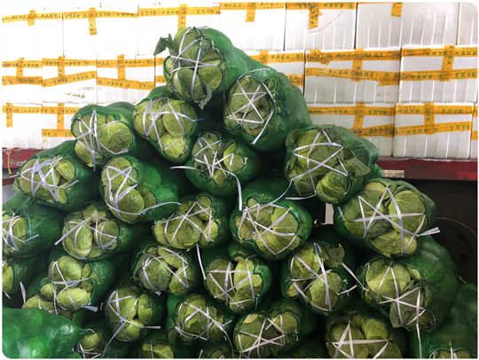 3868la������վ(����)�ɷ����޹�˾ - Make It Possible
