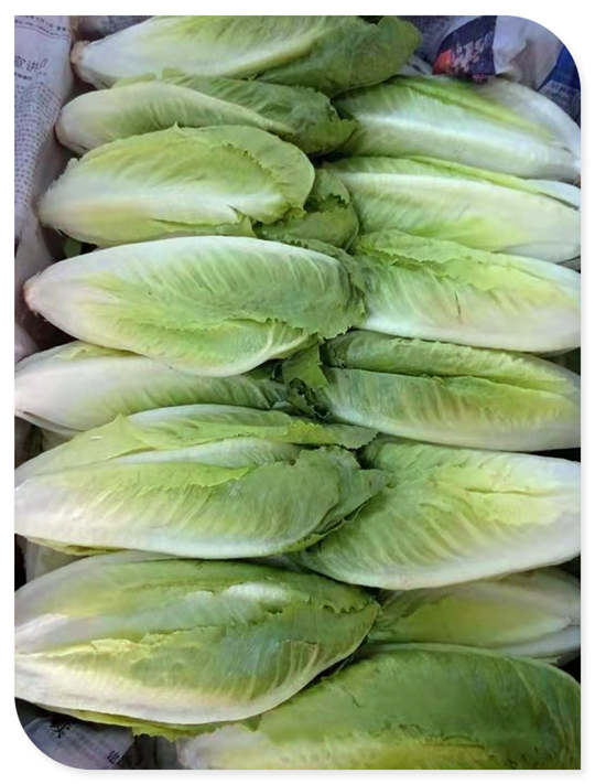3868la������վ(����)�ɷ����޹�˾ - Make It Possible