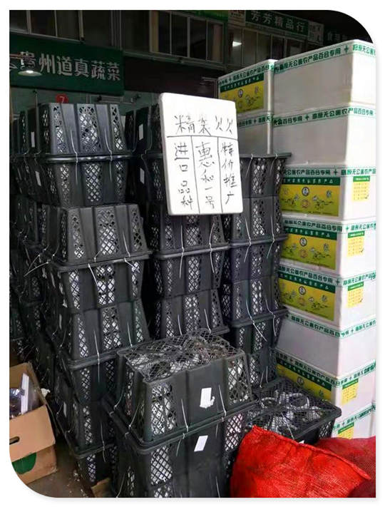 3868la������վ(����)�ɷ����޹�˾ - Make It Possible