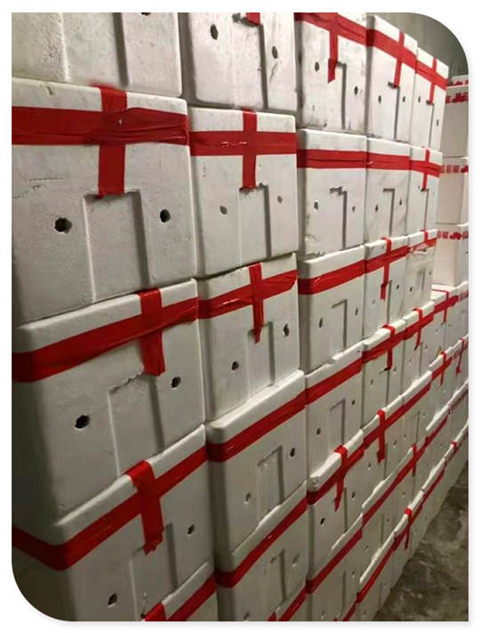 3868la������վ(����)�ɷ����޹�˾ - Make It Possible