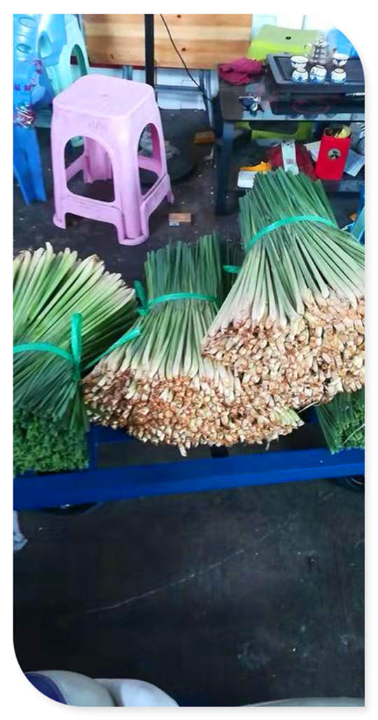 3868la������վ(����)�ɷ����޹�˾ - Make It Possible