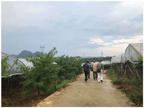 3868la������վ(����)�ɷ����޹�˾ - Make It Possible