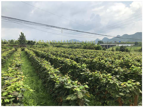 3868la������վ(����)�ɷ����޹�˾ - Make It Possible