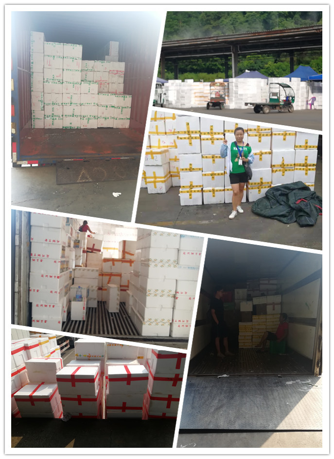 3868la������վ(����)�ɷ����޹�˾ - Make It Possible