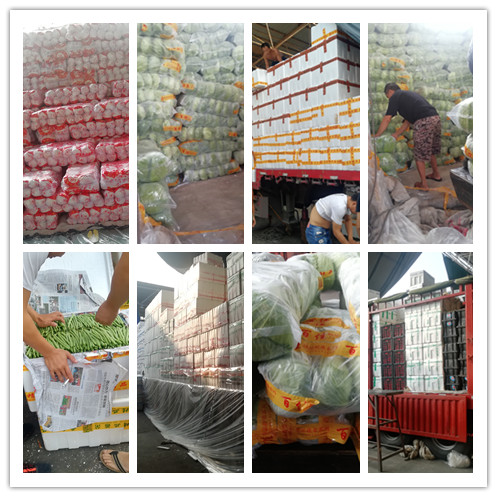 3868la������վ(����)�ɷ����޹�˾ - Make It Possible