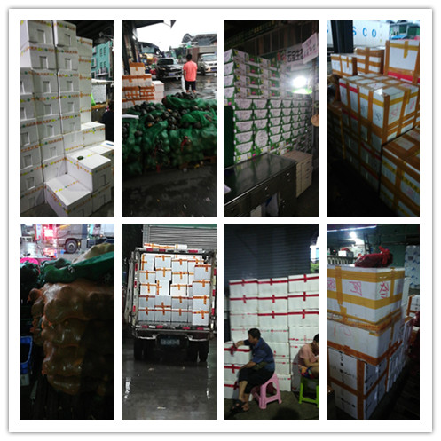 3868la������վ(����)�ɷ����޹�˾ - Make It Possible