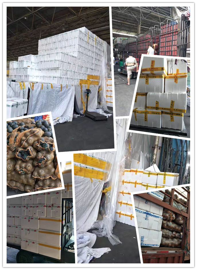 3868la������վ(����)�ɷ����޹�˾ - Make It Possible