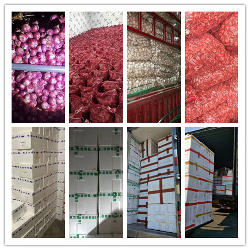 3868la������վ(����)�ɷ����޹�˾ - Make It Possible