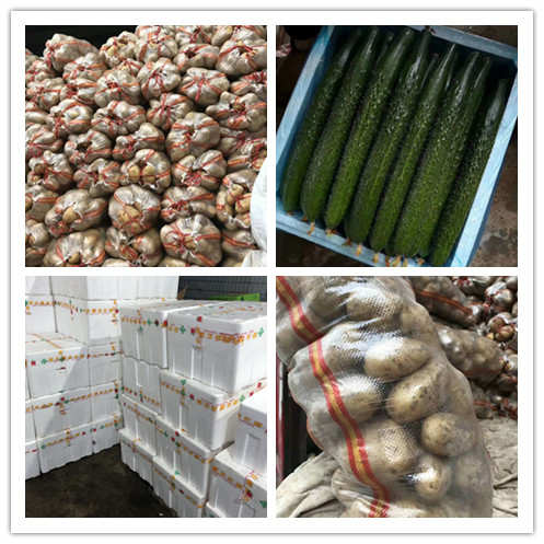 3868la������վ(����)�ɷ����޹�˾ - Make It Possible