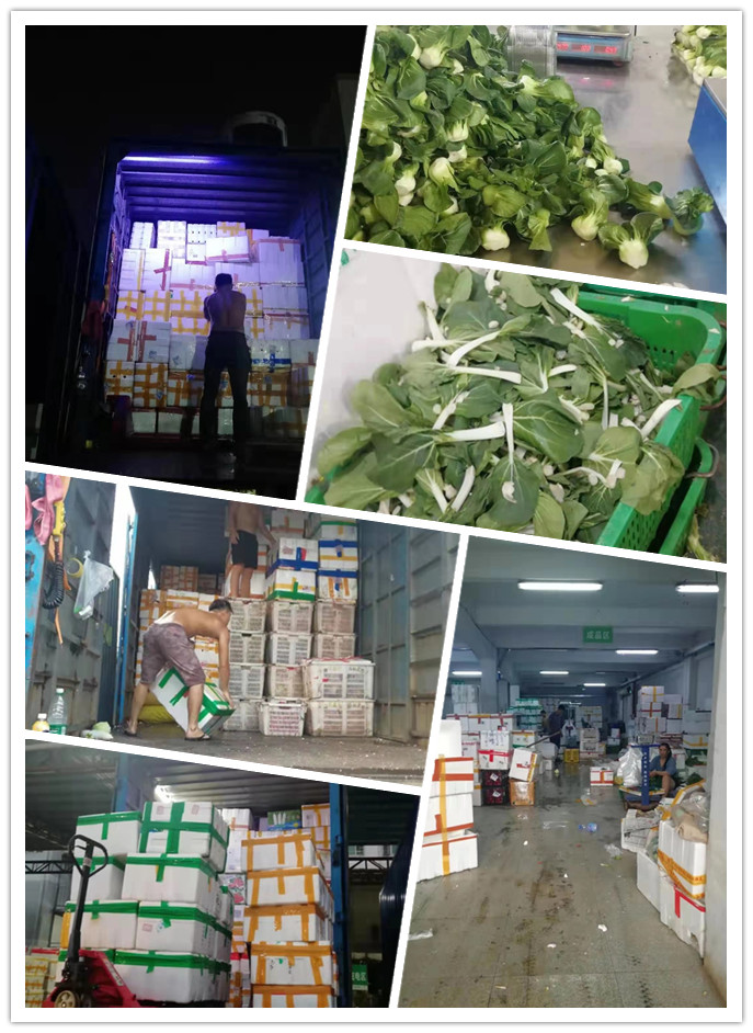 3868la������վ(����)�ɷ����޹�˾ - Make It Possible