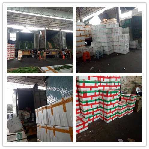 3868la������վ(����)�ɷ����޹�˾ - Make It Possible