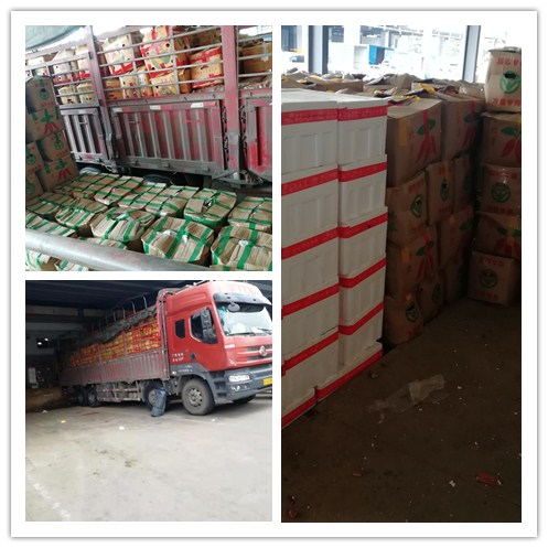 3868la������վ(����)�ɷ����޹�˾ - Make It Possible