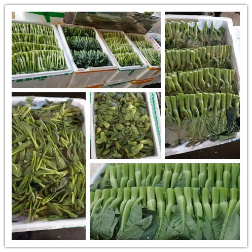 3868la������վ(����)�ɷ����޹�˾ - Make It Possible