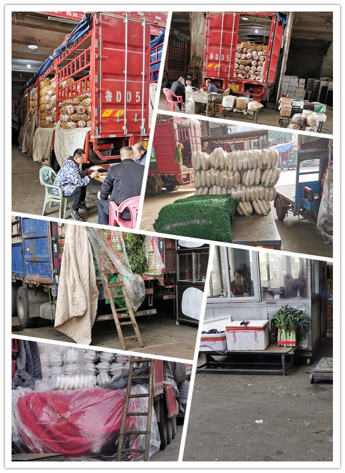 3868la������վ(����)�ɷ����޹�˾ - Make It Possible