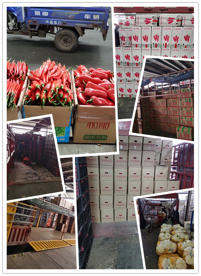 3868la������վ(����)�ɷ����޹�˾ - Make It Possible