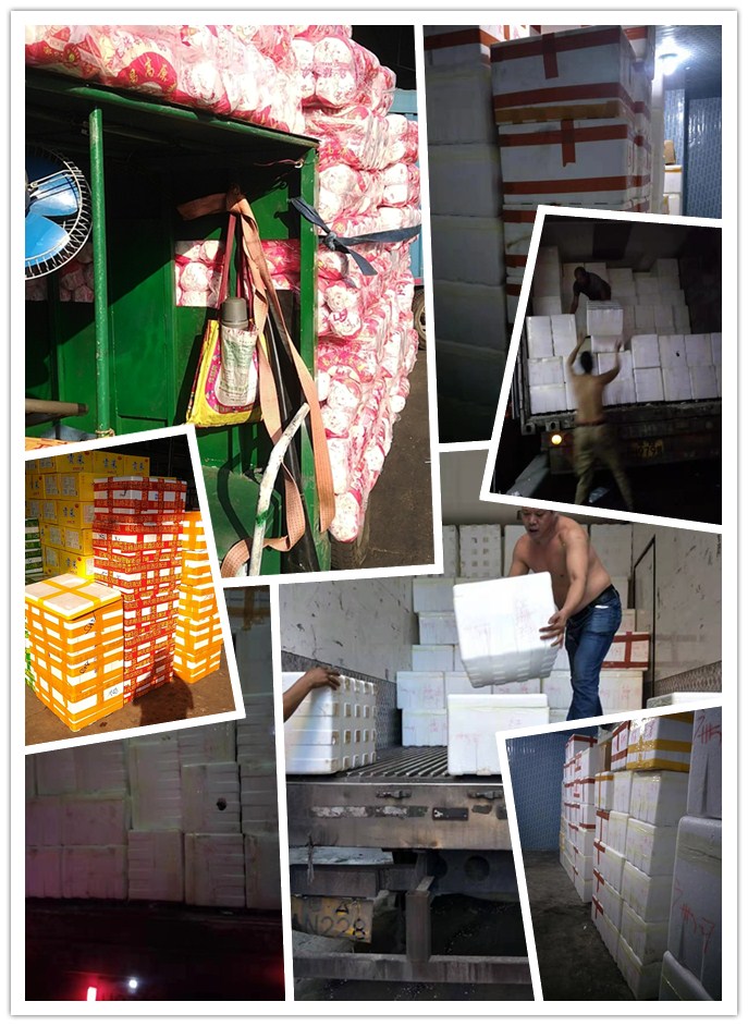 3868la������վ(����)�ɷ����޹�˾ - Make It Possible