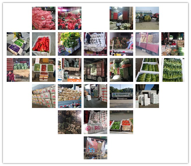 3868la������վ(����)�ɷ����޹�˾ - Make It Possible
