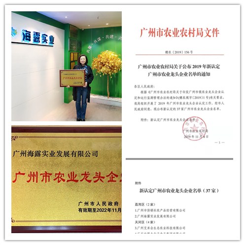 3868la������վ(����)�ɷ����޹�˾ - Make It Possible