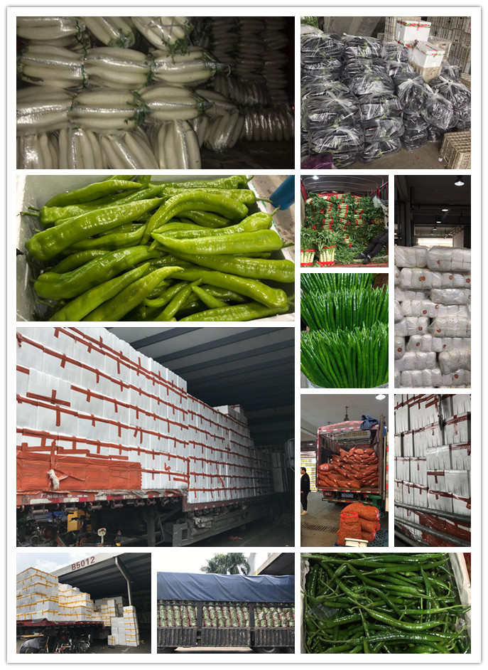 3868la������վ(����)�ɷ����޹�˾ - Make It Possible
