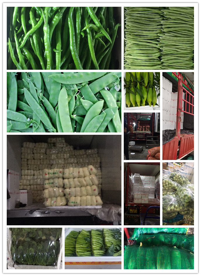 3868la������վ(����)�ɷ����޹�˾ - Make It Possible