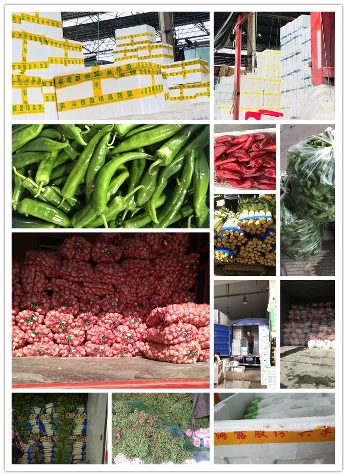 3868la������վ(����)�ɷ����޹�˾ - Make It Possible