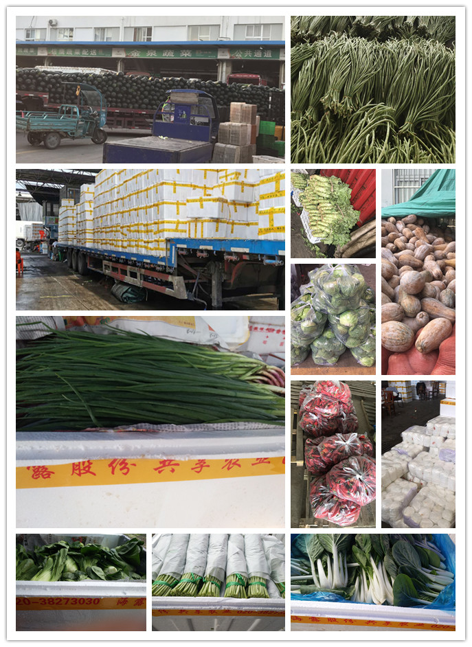3868la������վ(����)�ɷ����޹�˾ - Make It Possible
