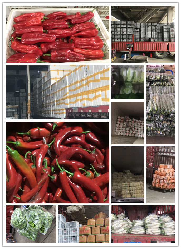 3868la������վ(����)�ɷ����޹�˾ - Make It Possible