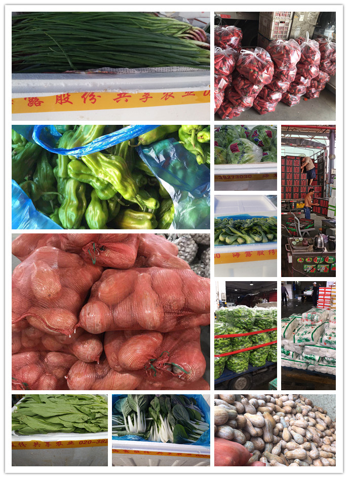 3868la������վ(����)�ɷ����޹�˾ - Make It Possible
