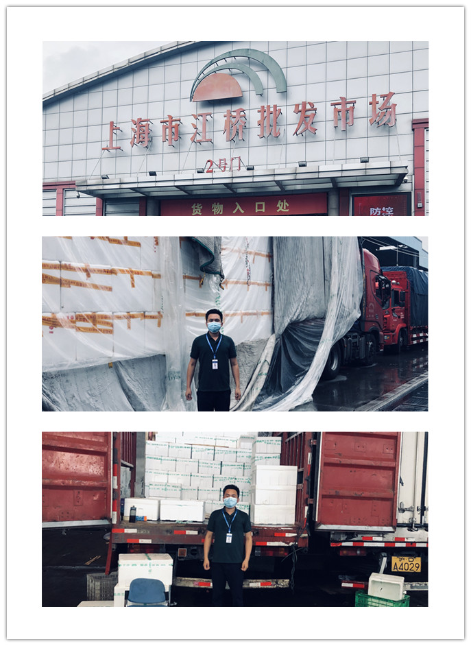 3868la������վ(����)�ɷ����޹�˾ - Make It Possible