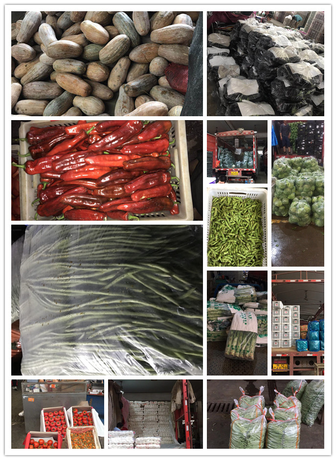 3868la������վ(����)�ɷ����޹�˾ - Make It Possible