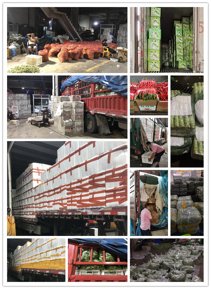 3868la������վ(����)�ɷ����޹�˾ - Make It Possible