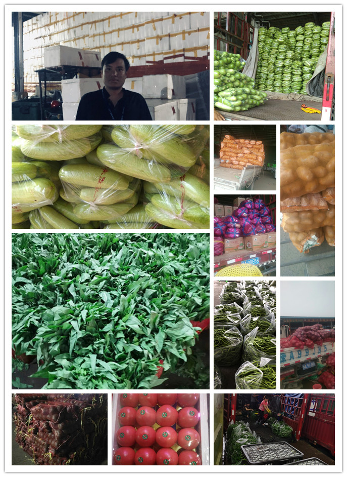 3868la������վ(����)�ɷ����޹�˾ - Make It Possible