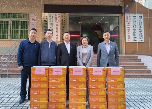 �ᶨ�����������������ٷ�չ