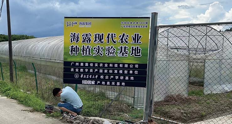 3868la������վ(����)�ɷ����޹�˾ - Make It Possible