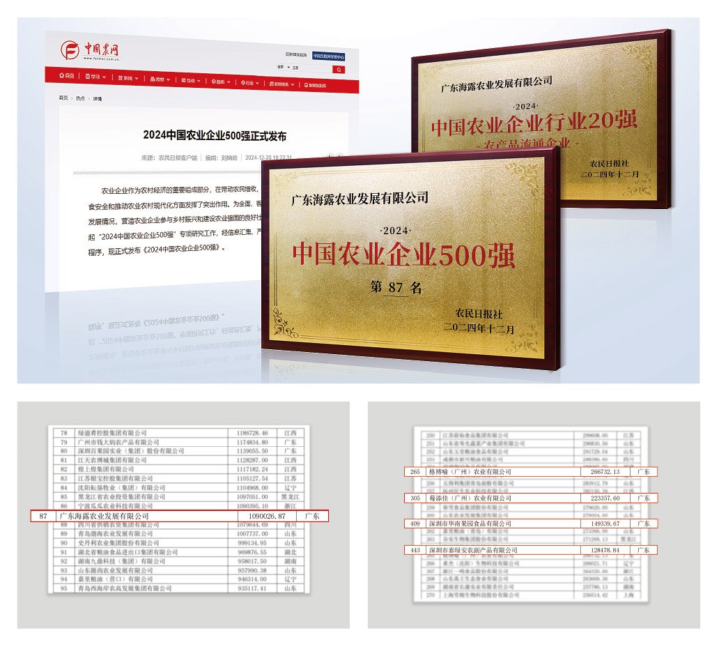 3868la������վ(����)�ɷ����޹�˾ - Make It Possible