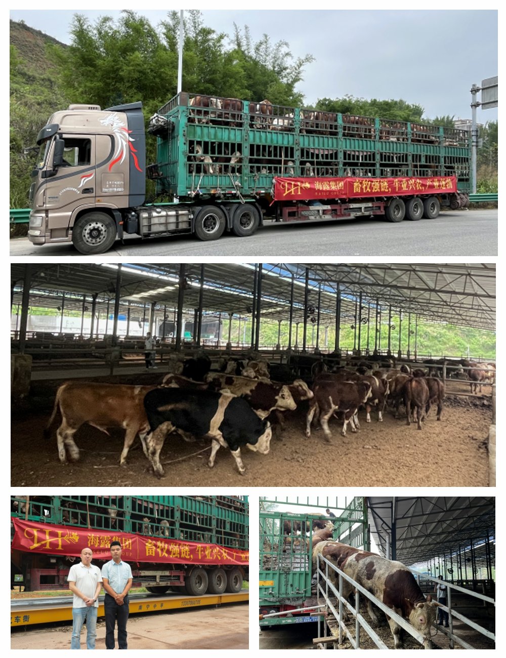 1-25052P9411LK 3868la银河总站(集团)股份有限公司 - Make It Possible